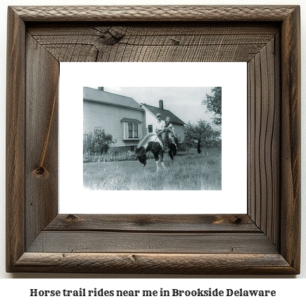 horse trail rides near me in Brookside, Delaware